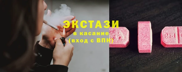 шишки Коряжма