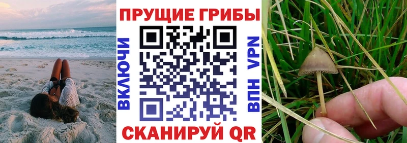 Псилоцибиновые грибы GOLDEN TEACHER  кракен ТОР  Орехово-Зуево 